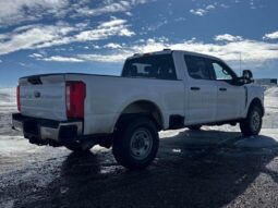 
										2023 Ford F-250 XLT Crew Cab 4×4 7.3L full									