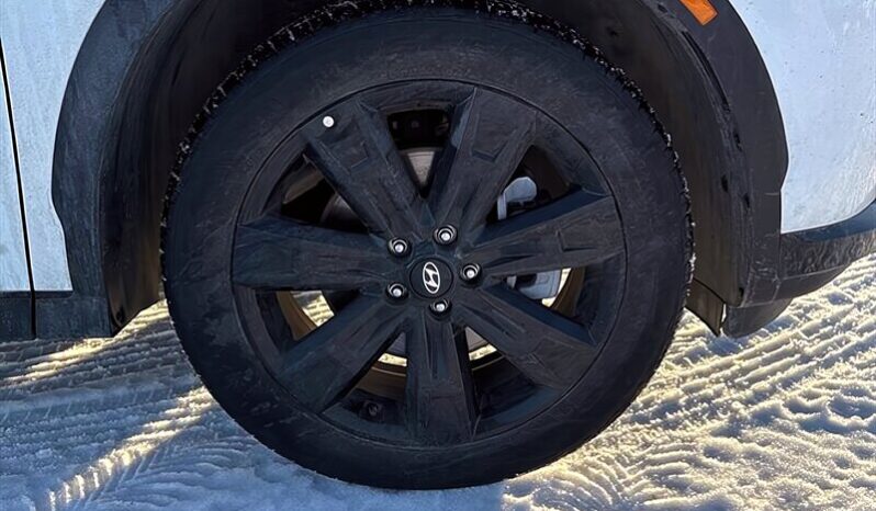 
								2024 Hyundai Palisade Urban AWD full									