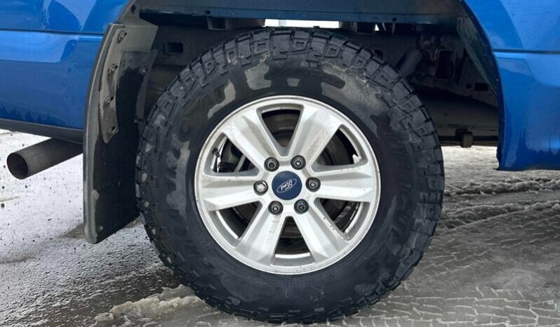 
								2017 Ford F-150 XLT 5.0L Crew Cab 4×4 full									