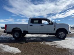 
										2023 Ford F-250 XLT Crew Cab 4×4 7.3L full									