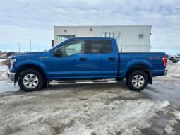 
										2017 Ford F-150 XLT 5.0L Crew Cab 4×4 full									